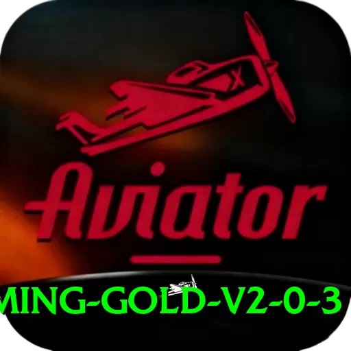 EpiWin Game Gaming Gold v2.0.3 - 2
